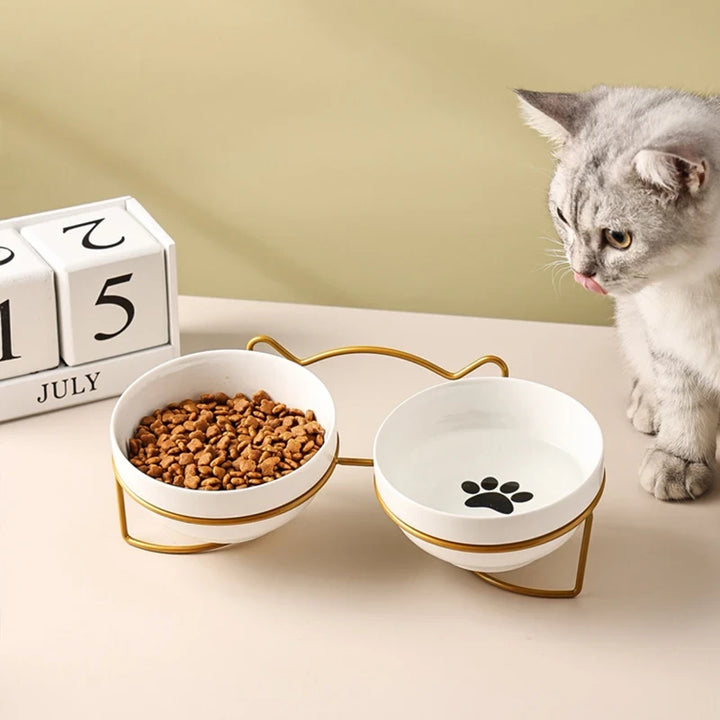 Ceramic Elevated Bowls For Pets